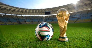 فرصة التطوع في كأس العالم أمريكا وكندا والمكسيك 2026